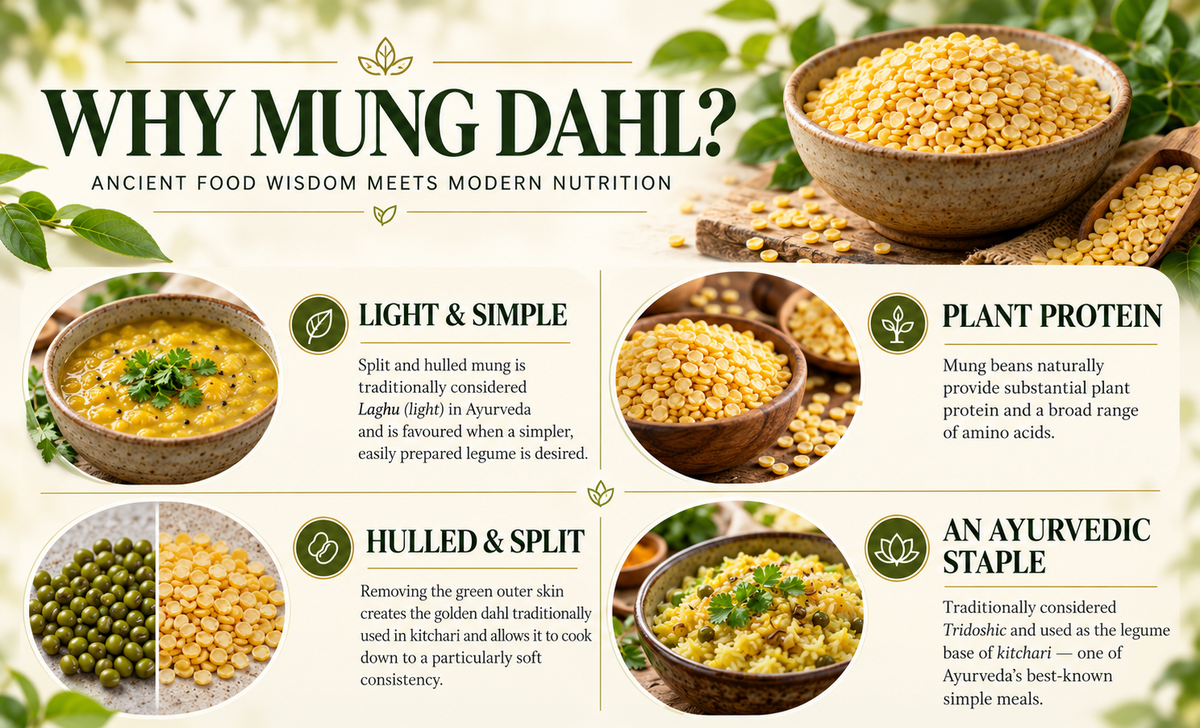 Organic Australian Split Mung Beans (Mung Dahl) – Ayurveda’s Favourite Legume