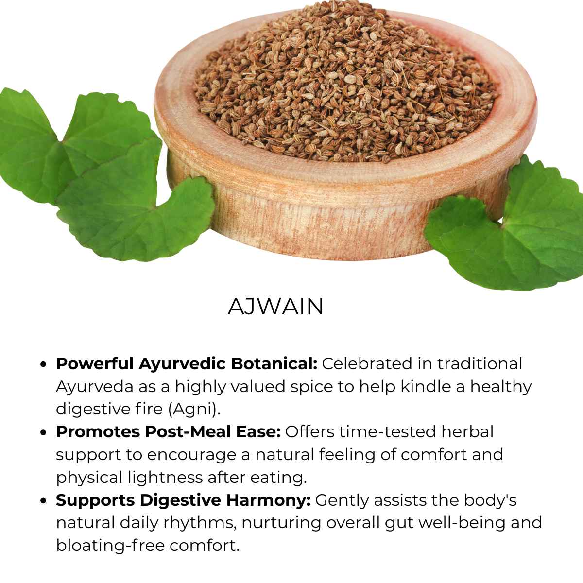 benefit of ajwain seeds