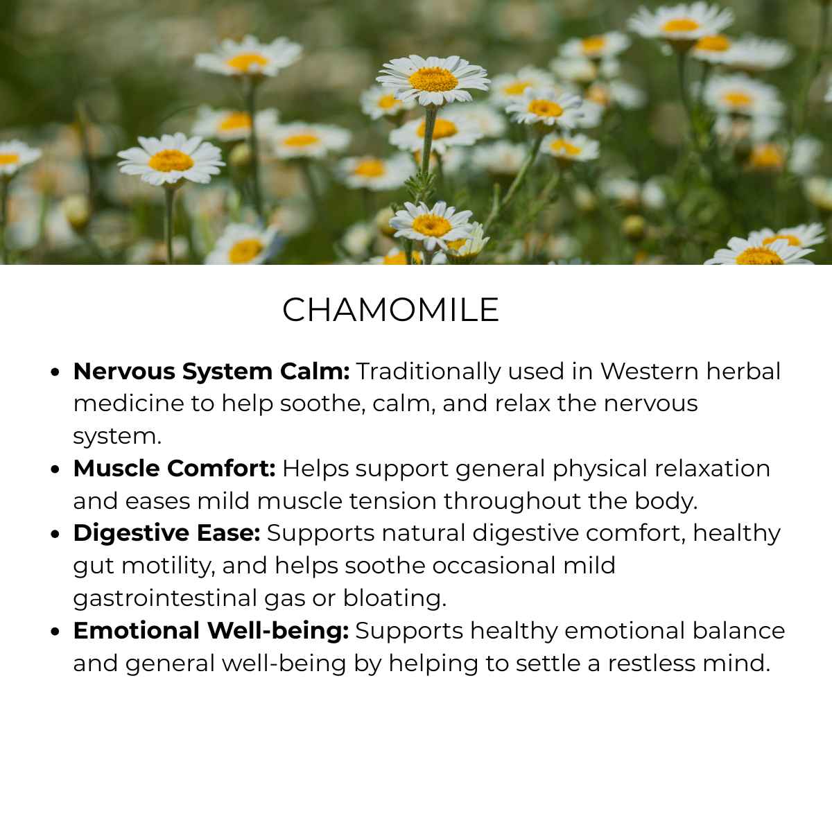 benefit of chamomile