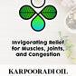 close up image of product photo of 200 ml of karpooradi oil