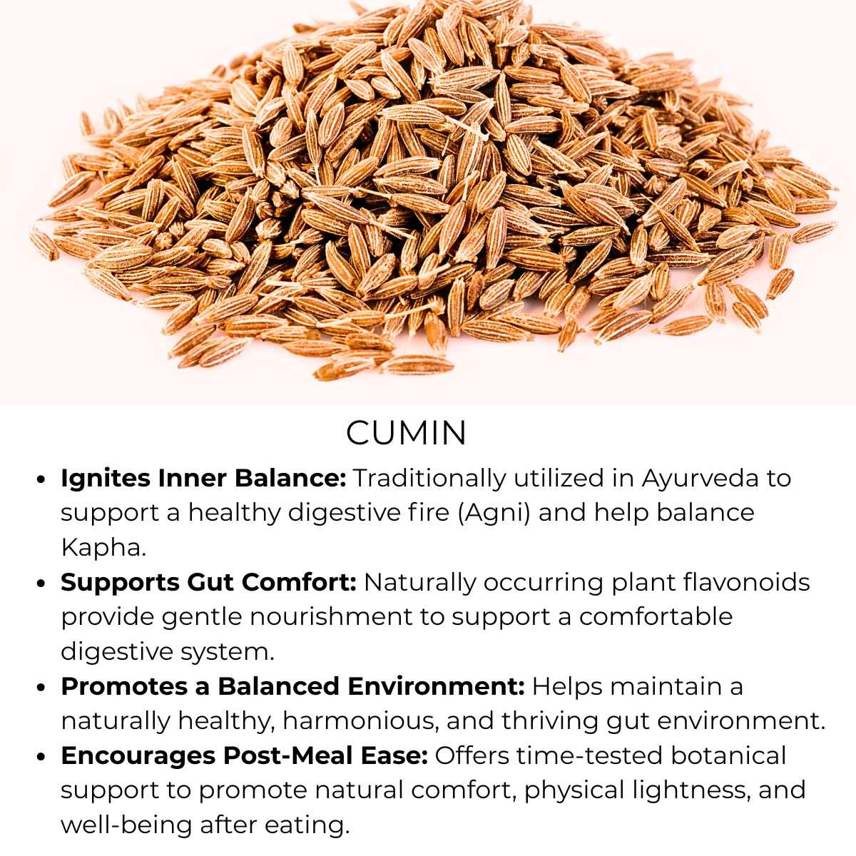 benefits of cumin seeds