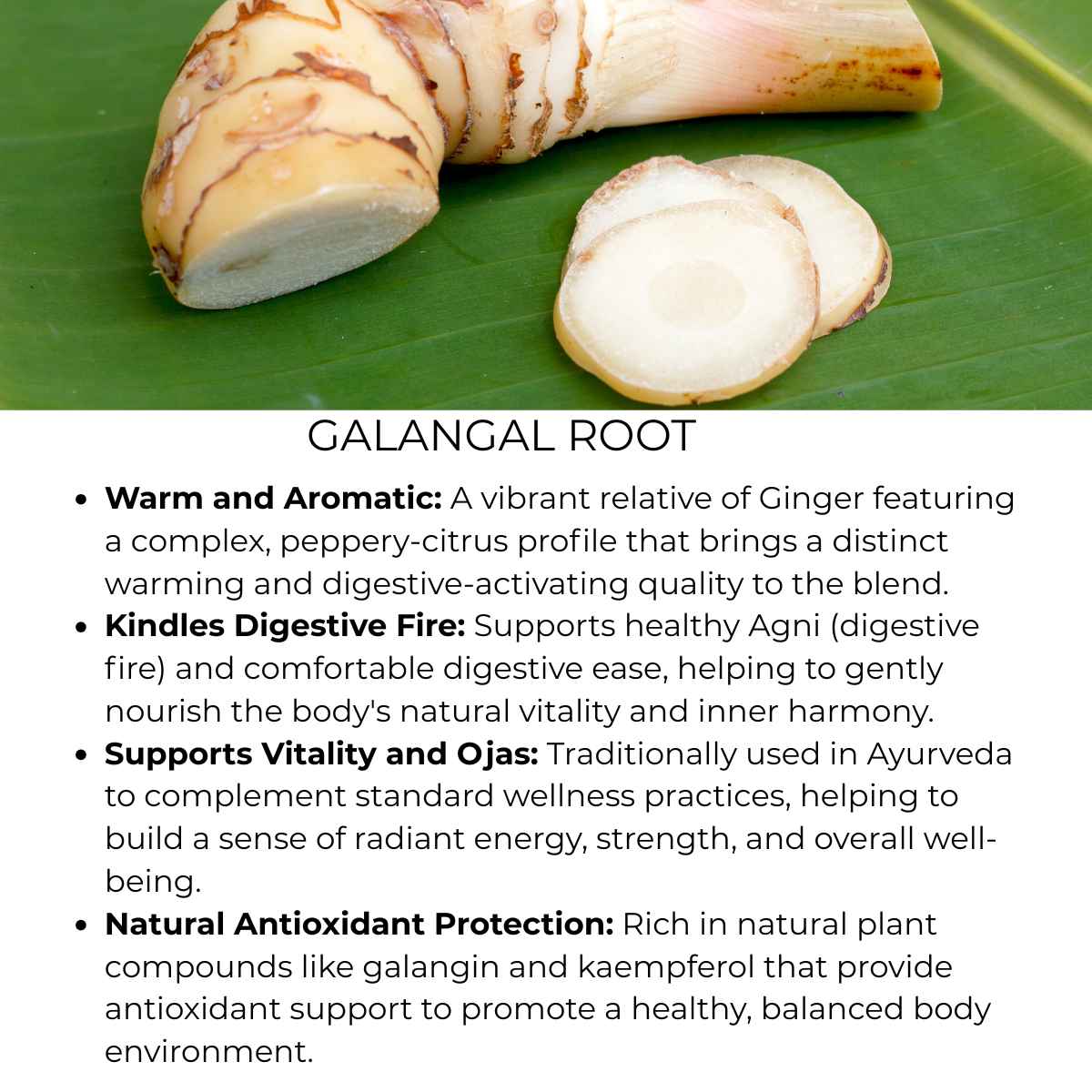 benefit of galangal root