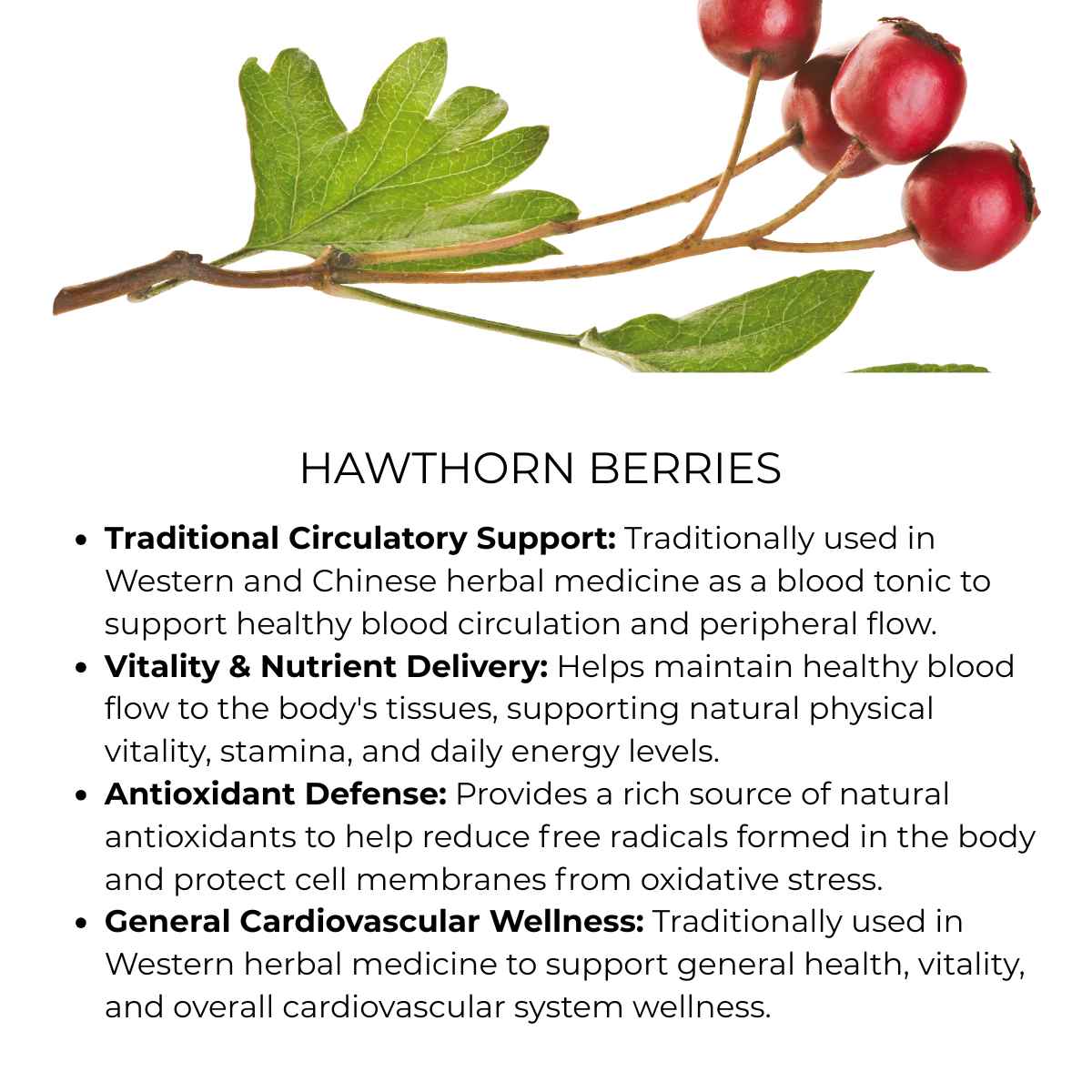 benefits of hawthorn berries