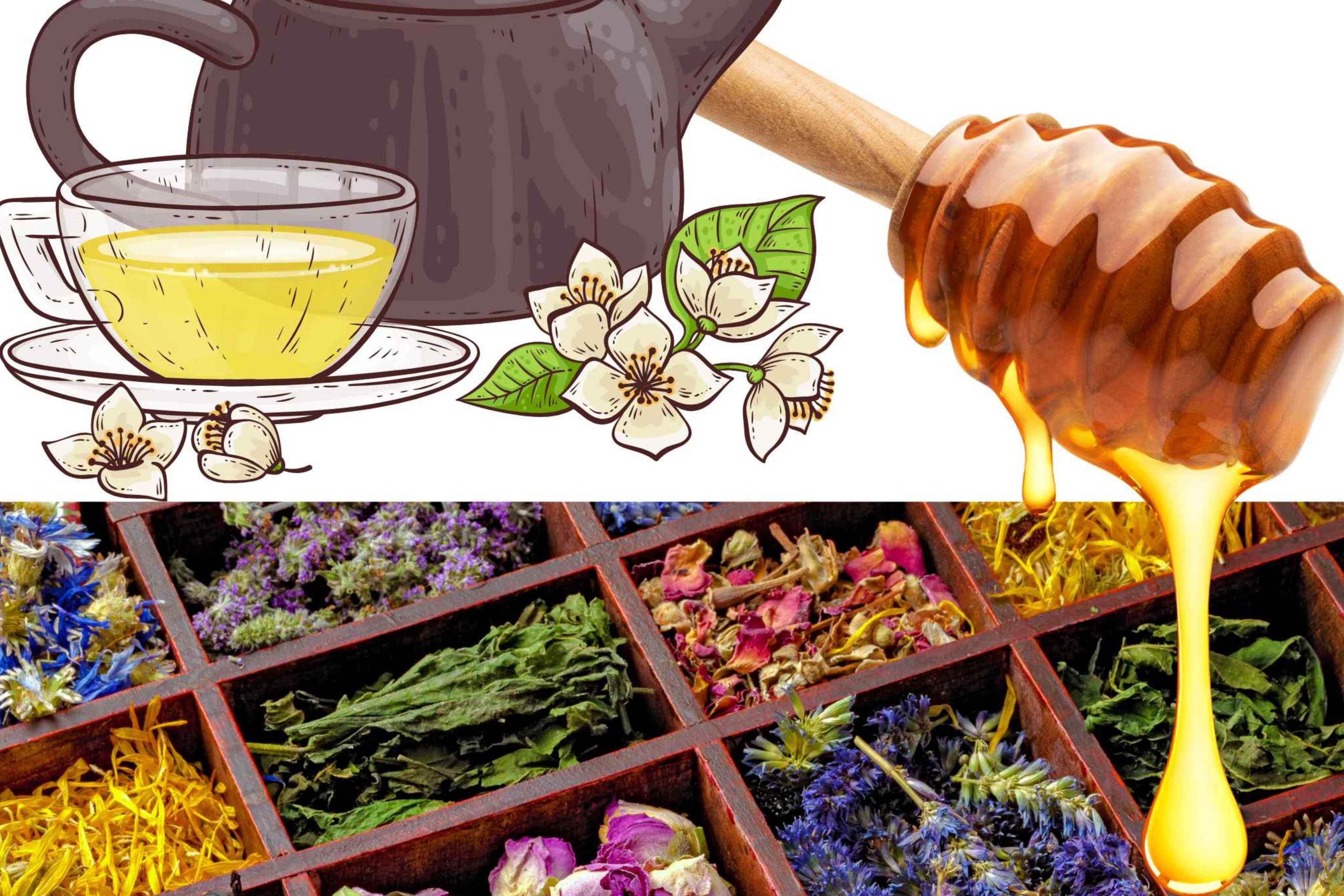 photo for herbal tea collection page