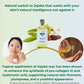 benefits of jojoba oil