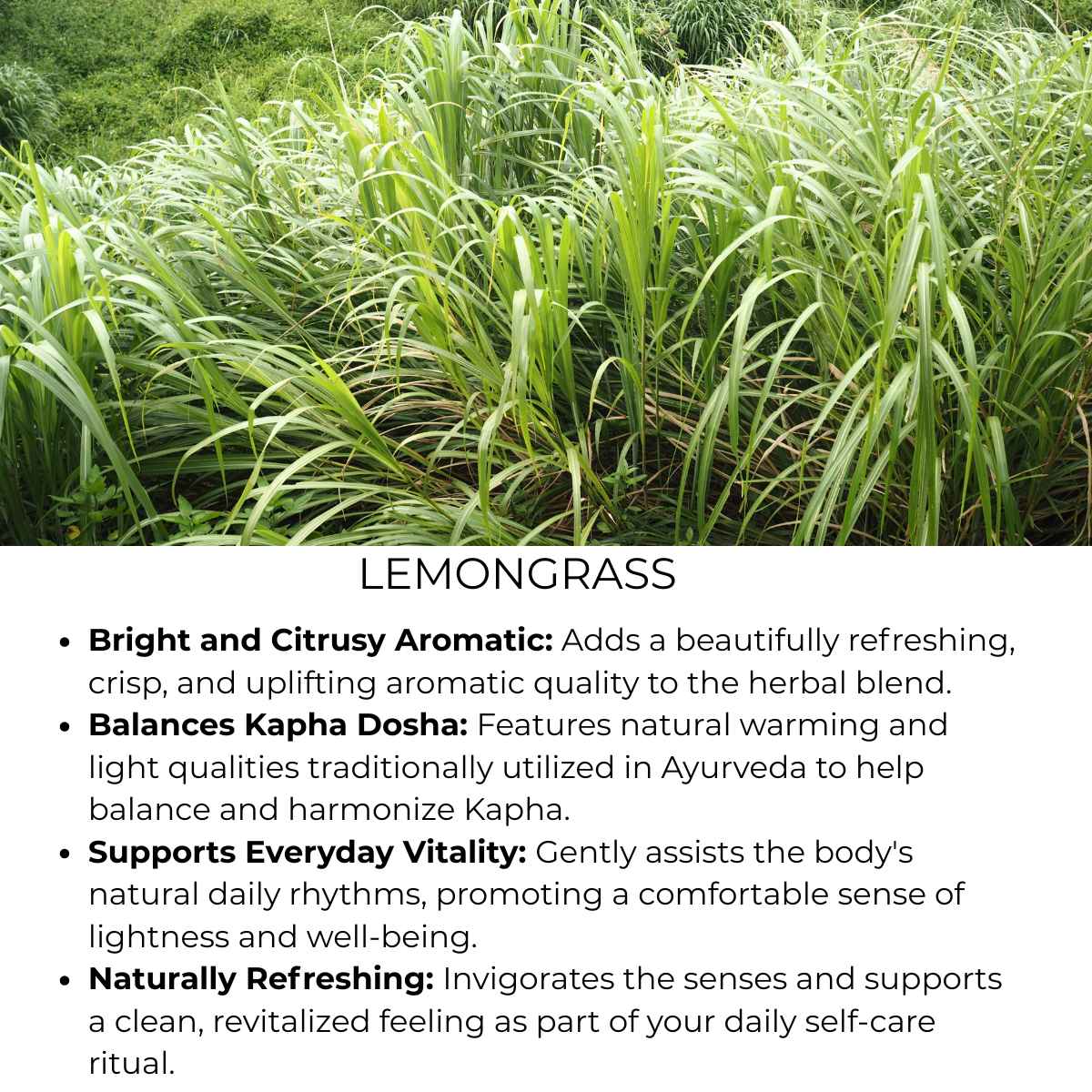 benefit of lemongrass herb