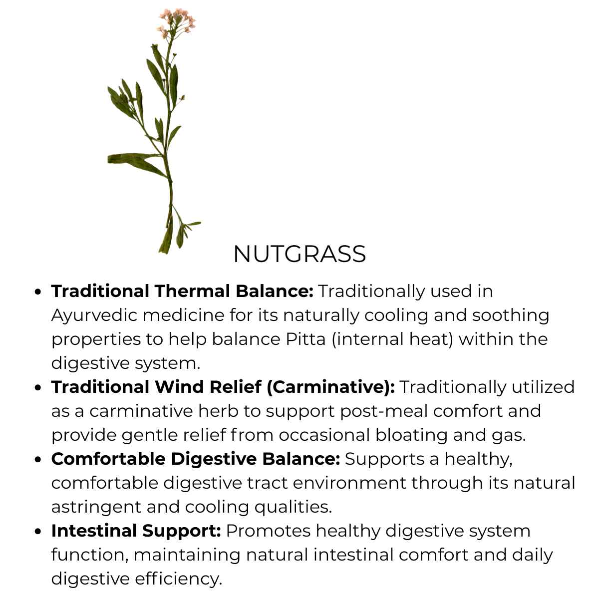 benefit of nutgrass