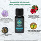 product photo of pitta essential oil blend with benefit and ingredients