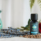 product photo of pitta essential oil blend with herbs