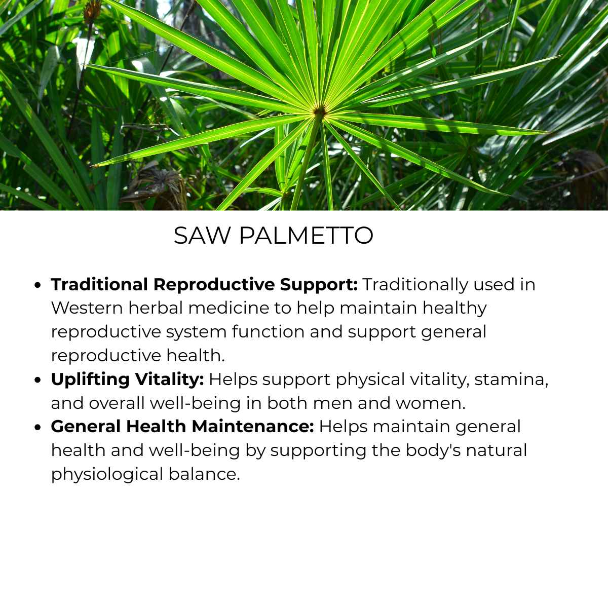 benefit of saw palmetto