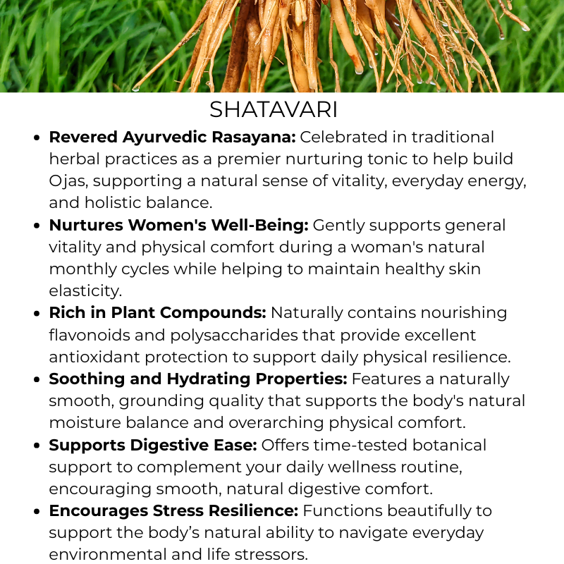 benefit of shatavari herb