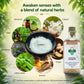 Revitalizing Massage Oil – Ayurvedic Body Oil for Natural Circulation, Lymphatic Ease & Energy