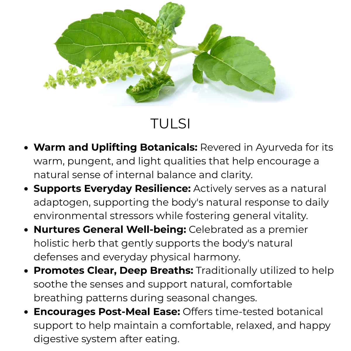 benefit of tulsi herb