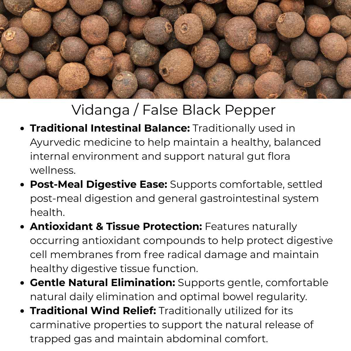 benefits of vidanga