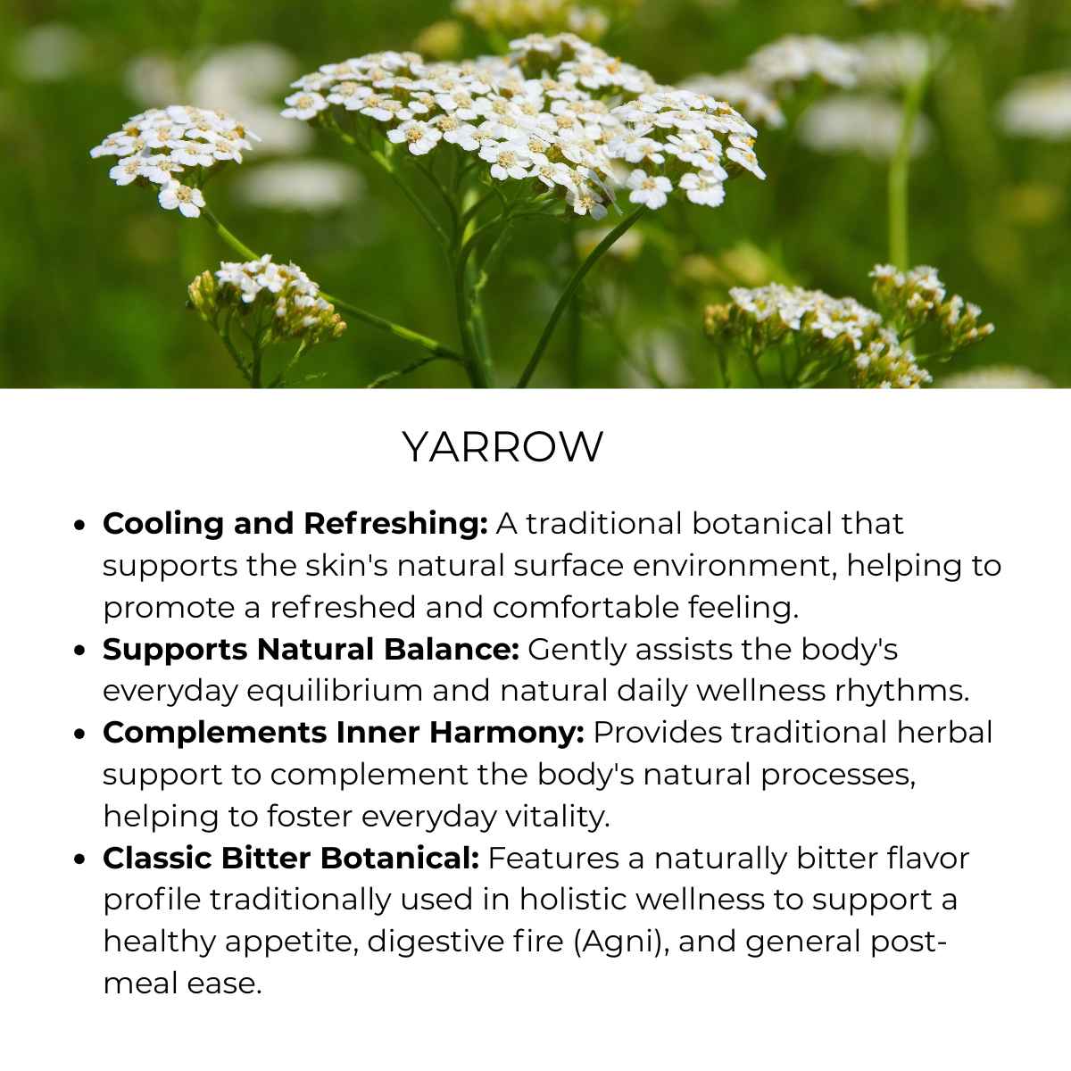 benefit of yarrow herb